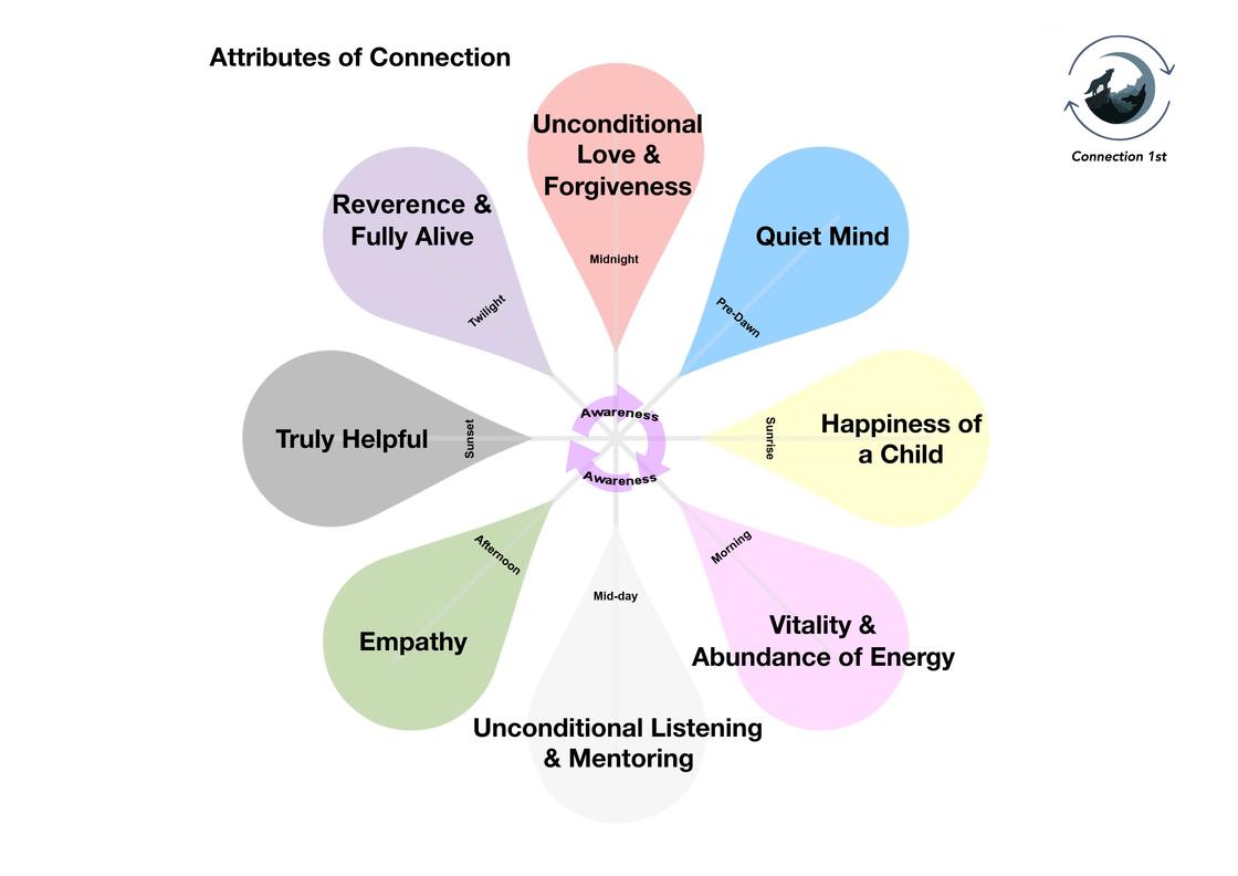 Connective Roots, Building capacity for a Regenerative Culture ...
